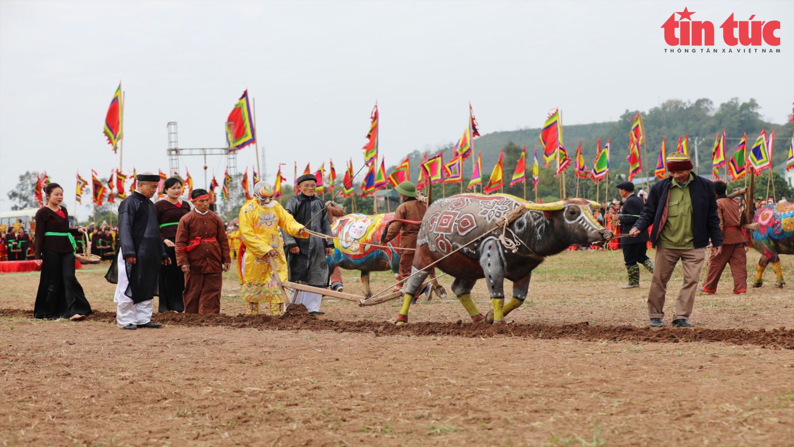 Tái hiện nghi lễ vua Lê Đại Hành cày Tịch điền tại Lễ hội Tịch điền Đọi Sơn 2023 Chú thích ảnh