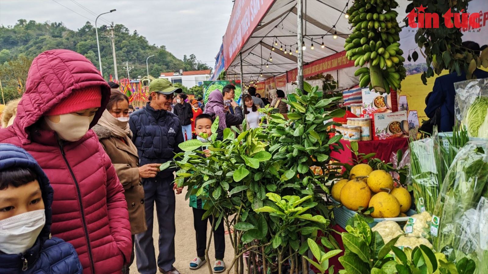 Tái hiện nghi lễ vua Lê Đại Hành cày Tịch điền tại Lễ hội Tịch điền Đọi Sơn 2023 Chú thích ảnh