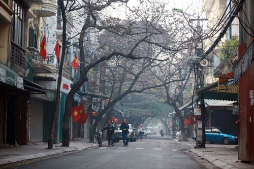 Ảnh minh họa. Ảnh minh họa.