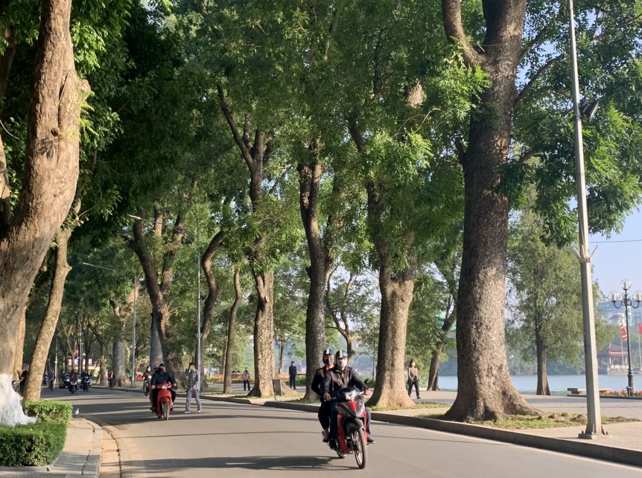 Hà Nội trời rét, ngày có nắng - Ảnh minh họa. Hà Nội trời rét, ngày có nắng - Ảnh minh họa.