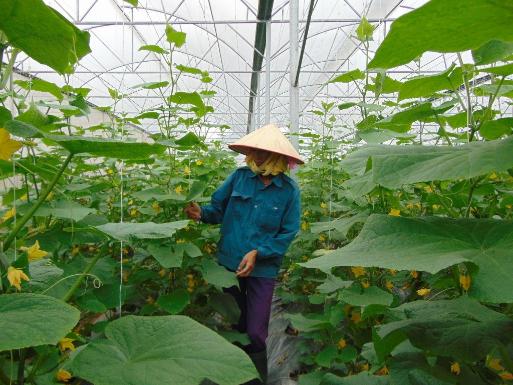 Quy hoạch tỉnh Bắc Giang thời kỳ 2021 - 2030, tầm nhìn đến năm 2050 Quy hoạch tỉnh Bắc Giang thời kỳ 2021 - 2030, tầm nhìn đến năm 2050