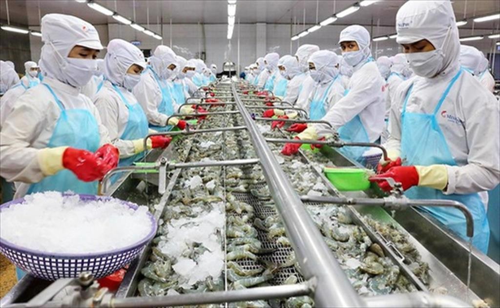 Nhiều doanh nghiệp Việt Nam tham gia hội chợ thủy sản hàng đầu thế giới Nhiều doanh nghiệp Việt Nam tham gia hội chợ thủy sản hàng đầu thế giới