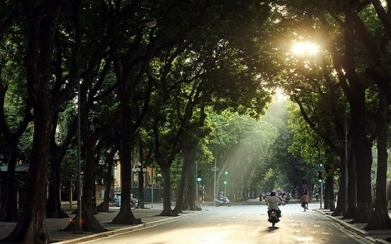 Bắc Bộ sáng và đêm trời rét, ngày nắng - Ảnh minh họa. Bắc Bộ sáng và đêm trời rét, ngày nắng - Ảnh minh họa.