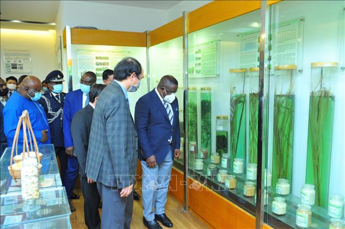 Toàn cảnh chuyến thăm chính thức Việt Nam của Tổng thống Sierra Leone và phu nhân Tổng thống Julius Maada Bio cho biết, do điều kiện khí hậu, thổ nhưỡng có sự tương đồng, Việt Nam và Sierra Leone khẳng định đưa nông nghiệp trở thành trụ cột trong hợp tác song phương. Trong ảnh: Tổng thống Julius Maada Bio thăm quan phòng truyền thống Viện Khoa học Nông nghiệp Việt Nam. Ảnh: Minh Đức/TTXVN.