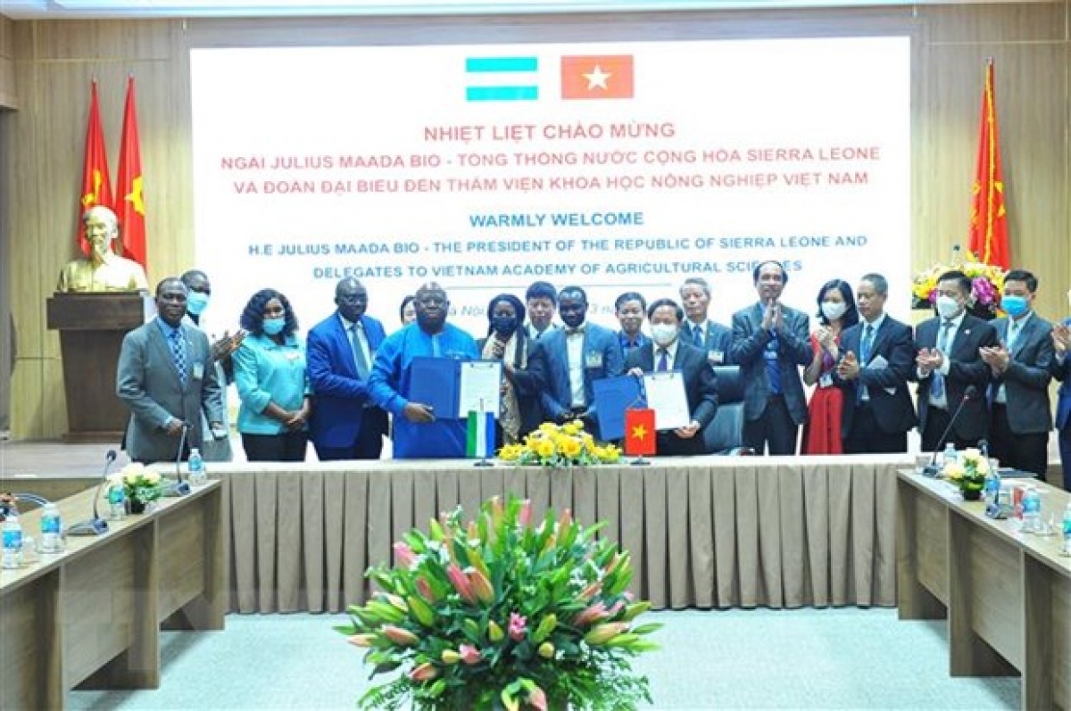 Toàn cảnh chuyến thăm chính thức Việt Nam của Tổng thống Sierra Leone và phu nhân Nhân dịp này, hai bên đã ký biên bản ghi nhớ nhằm thúc đẩy hợp tác giữa Sierra Leone và Viện Khoa học Nông nghiệp Việt Nam trong lĩnh vực trồng trọt. Ảnh: Minh Đức/TTXVN.
