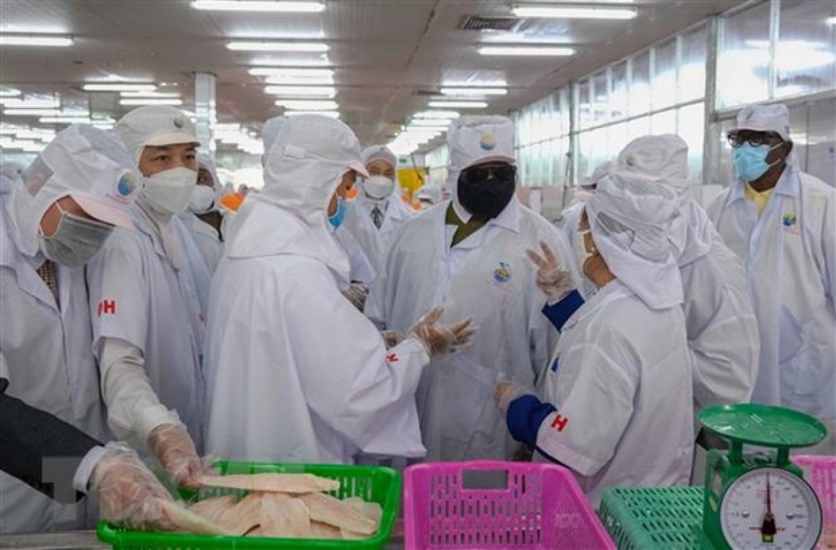 Toàn cảnh chuyến thăm chính thức Việt Nam của Tổng thống Sierra Leone và phu nhân Chiều 18/3, Tổng thống Julius Maada Bio cùng Phu nhân và Đoàn đại biểu cấp cao nước Cộng hòa Sierra Leone đã thăm Viện Lúa Đồng bằng sông Cửu Long và Nhà máy chế biến thủy sản Ấn Độ Dương tại thành phố Cần Thơ.