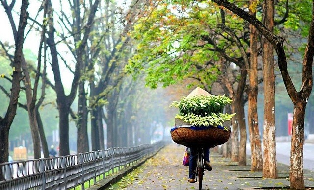 Hà Nội sáng và đêm trời rét - Ảnh minh họa. Hà Nội sáng và đêm trời rét - Ảnh minh họa.
