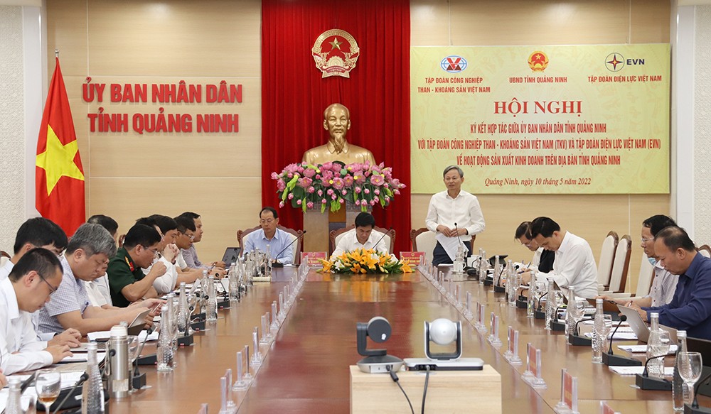 Tổng giám đốc EVN Trần Đình Nhân nêu kiến nghị tại buổi làm việc