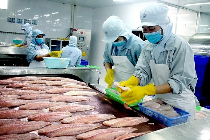 Khủng hoảng lương thực ở EU và cơ hội cho xuất khẩu cá tra Việt | Báo Công Thương Khủng hoảng lương thực ở EU và cơ hội cho xuất khẩu cá tra Việt | Báo Công Thương