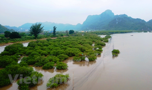 Phát triển kinh tế đại dương "xanh": Chìa khóa để vươn ra biển lớn | Môi trường | Vietnam+ (VietnamPlus) Phát triển kinh tế đại dương "xanh": Chìa khóa để vươn ra biển lớn | Môi trường | Vietnam+ (VietnamPlus)