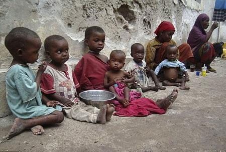 FAO cảnh báo nguy cơ có thêm từ 11 triệu - 19 triệu người bị đói FAO cảnh báo nguy cơ có thêm từ 11 triệu - 19 triệu người bị đói