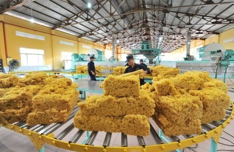 Xuất khẩu cao su sang thị trường Thổ Nhĩ Kỳ tăng 11% về lượng | Báo Công Thương Xuất khẩu cao su sang thị trường Thổ Nhĩ Kỳ tăng 11% về lượng | Báo Công Thương