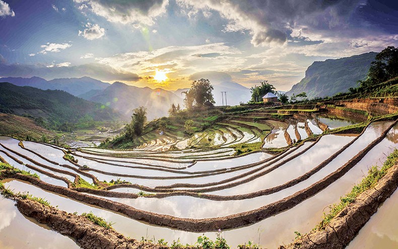 Lung linh ruộng bậc thang mùa đổ ải Ruộng bậc thang mùa đổ ải ảnh 3