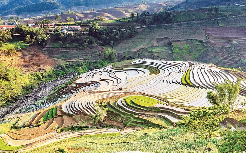 Ruộng bậc thang mùa đổ ải Ruộng bậc thang mùa đổ ải