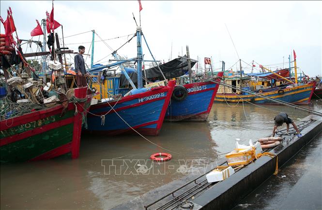 Khắc phục "thẻ vàng" IUU: Xử lý triệt để những vi phạm trong khai thác Khắc phục "thẻ vàng" IUU: Xử lý triệt để những vi phạm trong khai thác