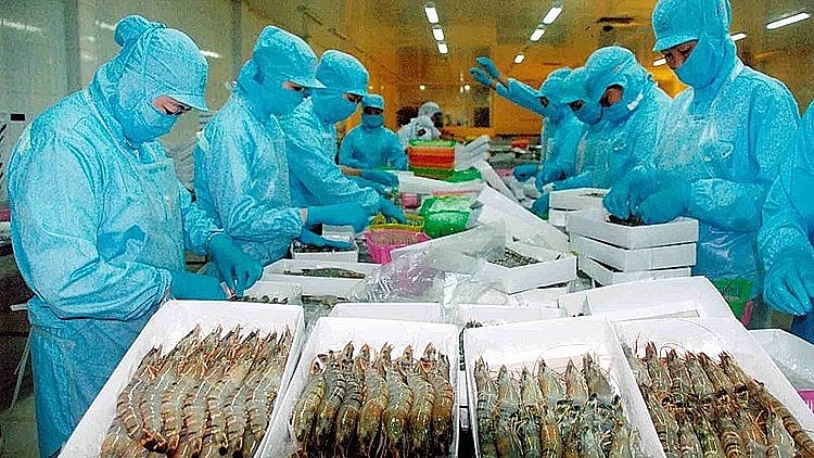 Nhu cầu thủy sản của EU hồi phục, cần tận dụng cơ hội trong những tháng cuối năm Nhu cầu thủy sản của EU hồi phục, cần tận dụng cơ hội trong những tháng cuối năm