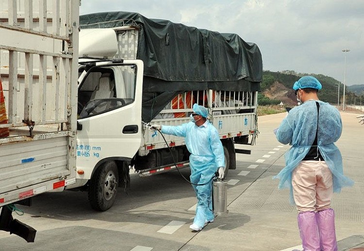 Trung Quốc tạm dừng nhập khẩu thanh long qua lối mở Km3+4 Quảng Ninh Trung Quốc tạm dừng nhập khẩu thanh long qua lối mở Km3+4 Quảng Ninh