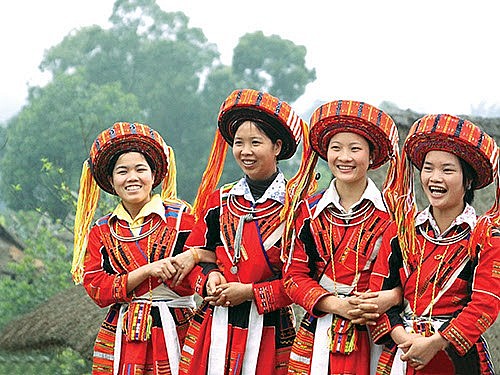 Ảnh minh họa Ảnh minh họa