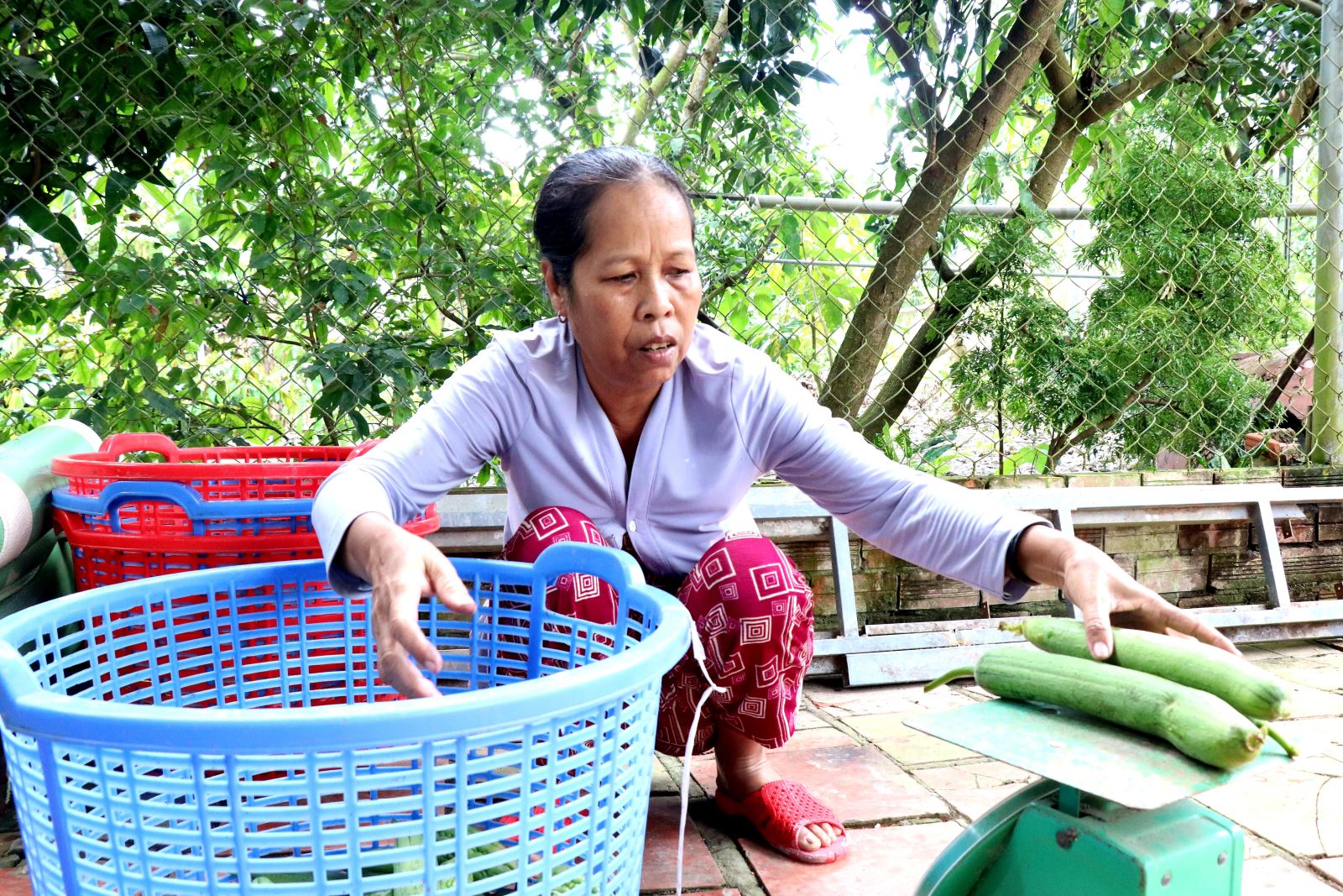 Góp sức thay đổi nhận thức và đời sống của phụ nữ Khmer Chú thích ảnh
