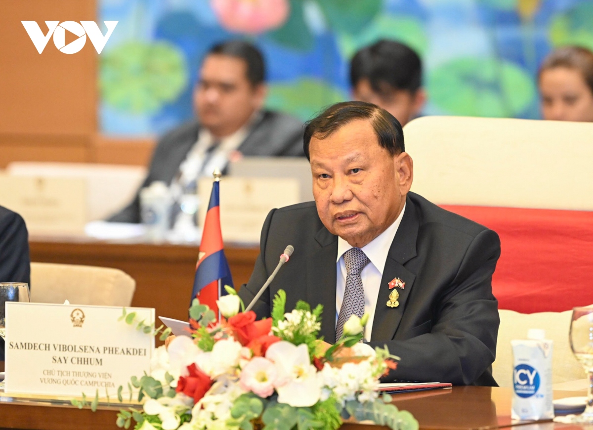 chủ tịch qh vương Đình huệ hội đàm với chủ tịch thượng viện vương quốc campuchia hình ảnh 2 chu tich qh vuong Dinh hue hoi dam voi chu tich thuong vien vuong quoc campuchia hinh anh 2
