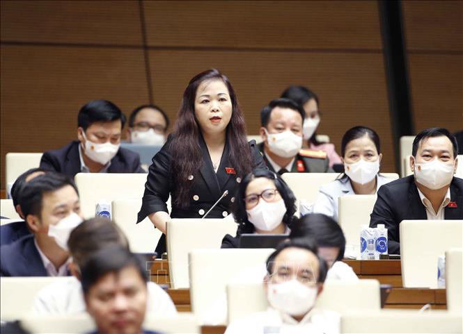 Quản lý đất đai đối với nhà đầu tư nước ngoài Chú thích ảnh