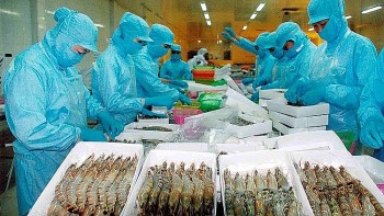 Xuất khẩu thuỷ sản sang Trung Quốc có thể đạt 1 tỷ USD trong năm 2021