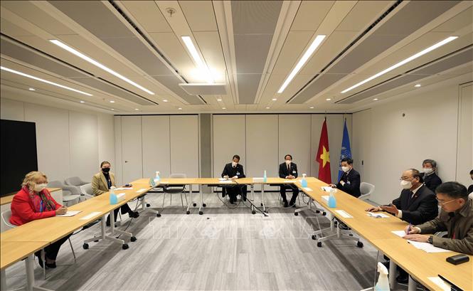 Chủ tịch nước gặp Tổng Giám đốc Văn phòng LHQ tại Geneva Chú thích ảnh
