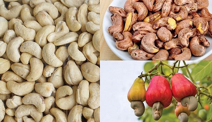 Xuất khẩu hạt điều sang Đức sẽ khả quan trong năm 2022 Xuất khẩu hạt điều sang Đức sẽ khả quan trong năm 2022