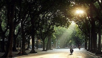 Dự báo thời tiết 16/12: Hà Nội đêm và sáng trời rét, trưa chiều có nắng
