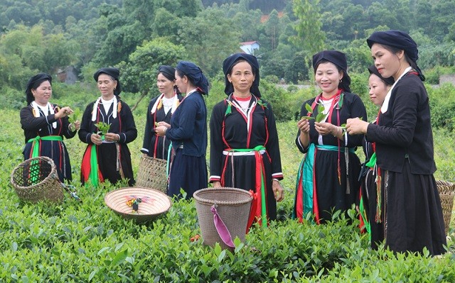 Thái Nguyên hỗ trợ đồng bào dân tộc phát triển kinh tế, cải thiện cuộc sống Thái Nguyên hỗ trợ đồng bào dân tộc phát triển kinh tế, cải thiện cuộc sống