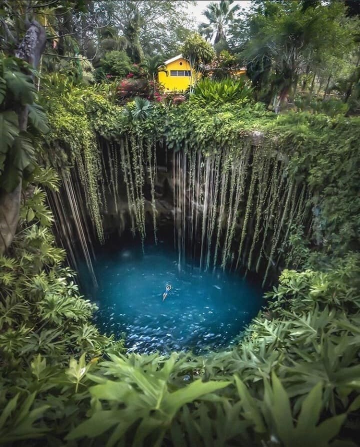 Cận cảnh 