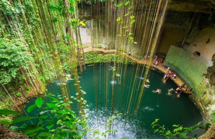 Cận cảnh 