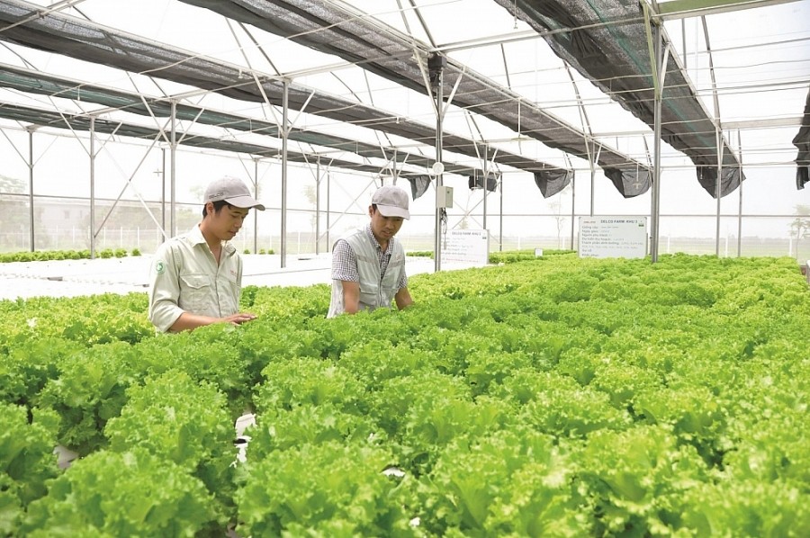 Hỗ trợ doanh nghiệp Việt Nam sản xuất bền vững Hỗ trợ doanh nghiệp Việt Nam sản xuất bền vững