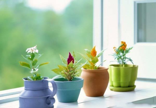 Top quà tặng ngày 8/3 cho sếp nữ vừa lịch sự và sang trọng Top quà tặng ngày 8/3 cho sếp nữ vừa lịch sự và sang trọng