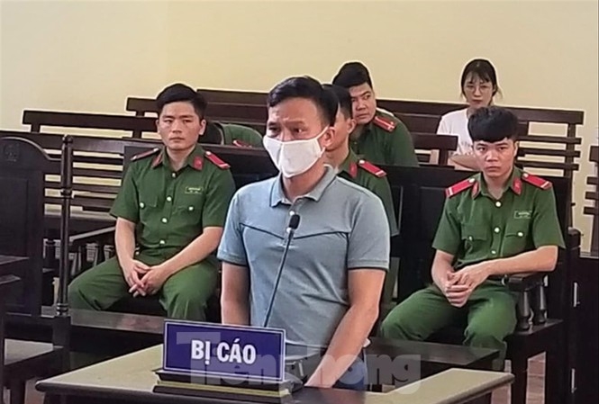 undefined 1940 tp chanh van phong toa an pnnz