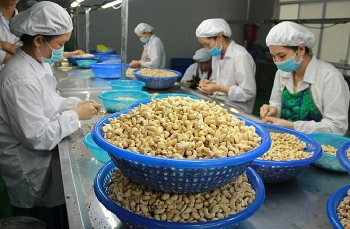 Giải pháp nào để doanh nghiệp Việt đảm bảo mục tiêu kép giữa bối cảnh Covid-19?