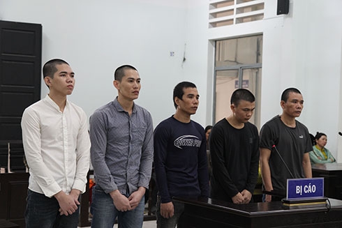 undefined 0109 images5422569 trung