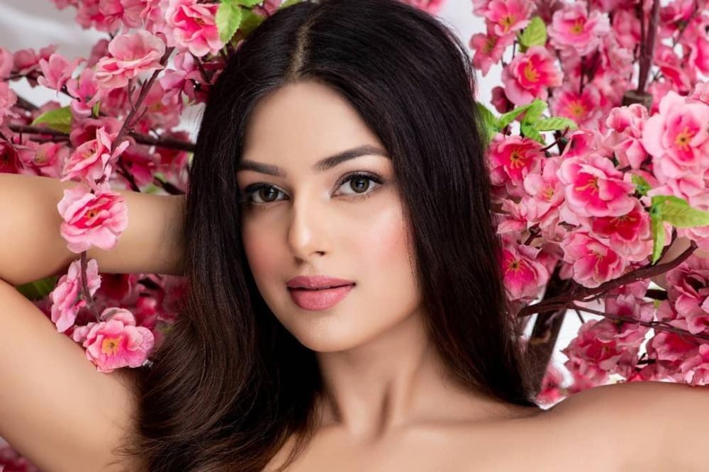 Miss Universe 2021 lộ diện loạt mỹ nhân Miss Universe 2021 lộ diện loạt mỹ nhân