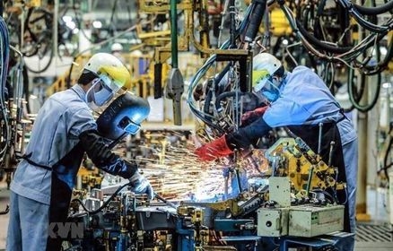 Xuất siêu Việt Nam đạt kỷ lục, 31 mặt hàng đạt kim ngạch xuất khẩu trên 1 tỷ USD