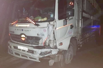 thiet ke website logistics van tai chuyen nghiep uy tin