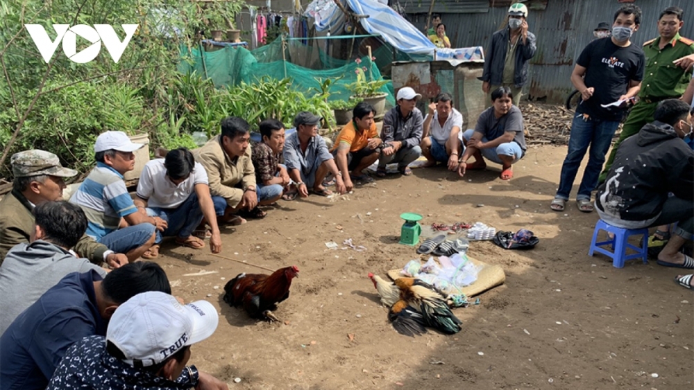 Thông tin pháp luật chiều 22/12: Bắt giữ nữ “đạo tặc” thực hiện hàng loạt các vụ trộm cắp tiền mừng đám cưới