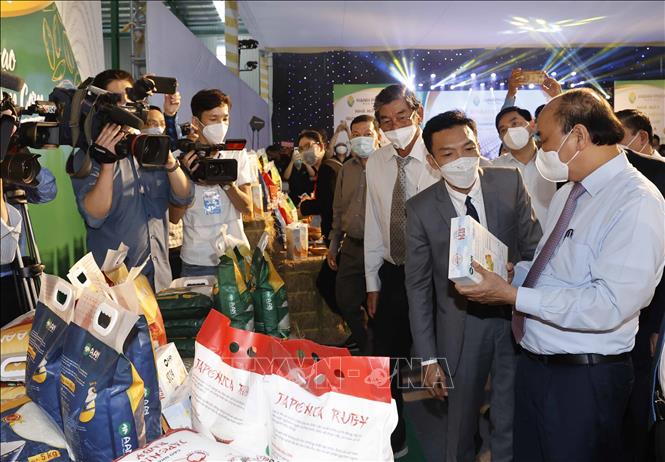 Chủ tịch nước gặp mặt, chúc Tết các đồng chí nguyên lãnh đạo tỉnh An Giang Chú thích ảnh