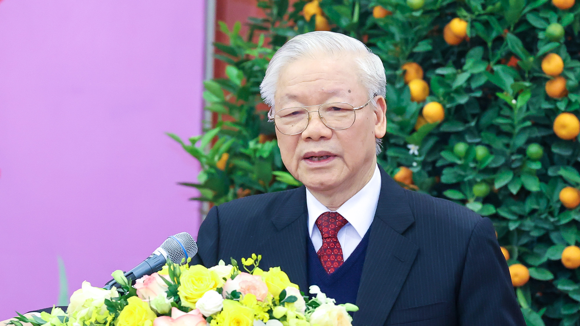 Tổng Bí thư Nguyễn Phú Trọng chúc Tết lãnh đạo, nguyên lãnh đạo Đảng, Nhà nước - Ảnh 2. Tổng Bí thư Nguyễn Phú Trọng chúc Tết lãnh đạo, nguyên lãnh đạo Đảng, Nhà nước - Ảnh 2.