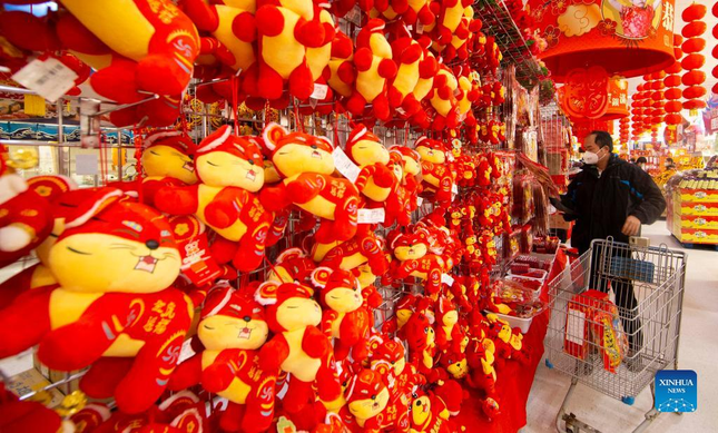 Châu Á trang hoàng rực rỡ, người dân nô nức mua sắm chuẩn bị đón năm Dần Châu Á trang hoàng rực rỡ, người dân nô nức mua sắm chuẩn bị đón năm Dần ảnh 29