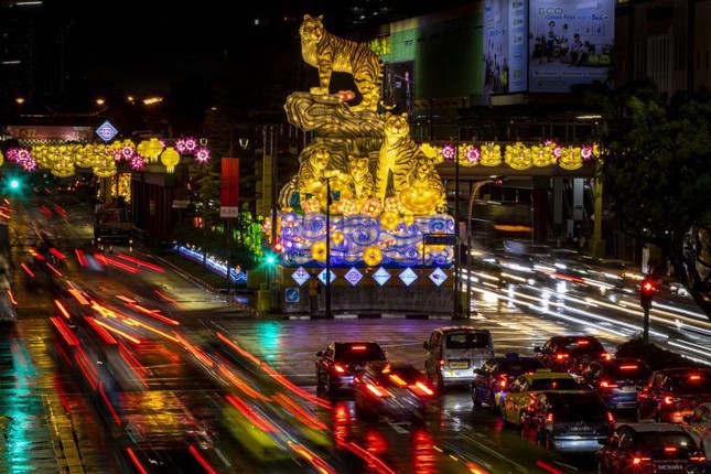 Châu Á trang hoàng rực rỡ, người dân nô nức mua sắm chuẩn bị đón năm Dần Châu Á trang hoàng rực rỡ, người dân nô nức mua sắm chuẩn bị đón năm Dần ảnh 2
