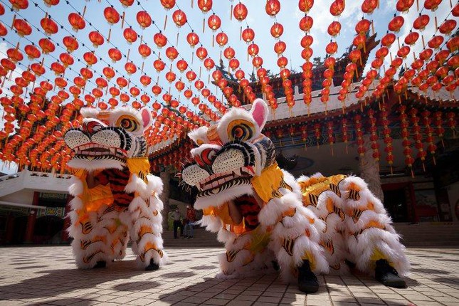 Châu Á trang hoàng rực rỡ, người dân nô nức mua sắm chuẩn bị đón năm Dần Châu Á trang hoàng rực rỡ, người dân nô nức mua sắm chuẩn bị đón năm Dần ảnh 8