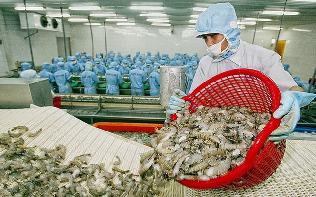 Việt Nam xuất khẩu 88 nghìn tấn tôm sang Mỹ năm 2021 Việt Nam xuất khẩu 88 nghìn tấn tôm sang Mỹ năm 2021