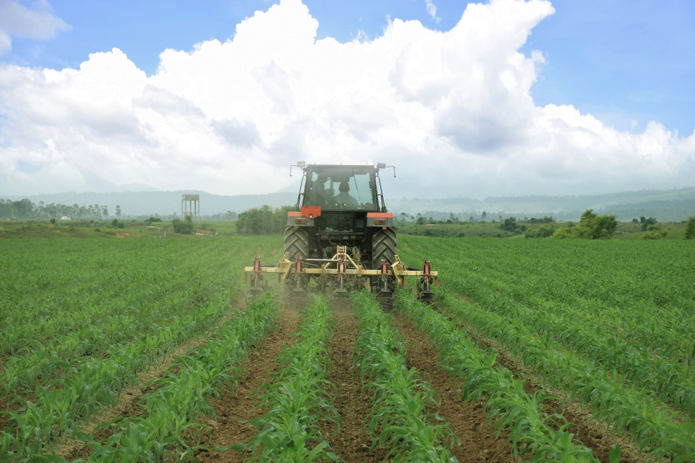 Tổ hợp trang trại tại Lào của Vinamilk đẩy nhanh tiến độ hoàn thành giai đoạn 1 Tổ hợp trang trại tại Lào của Vinamilk đẩy nhanh tiến độ hoàn thành giai đoạn 1