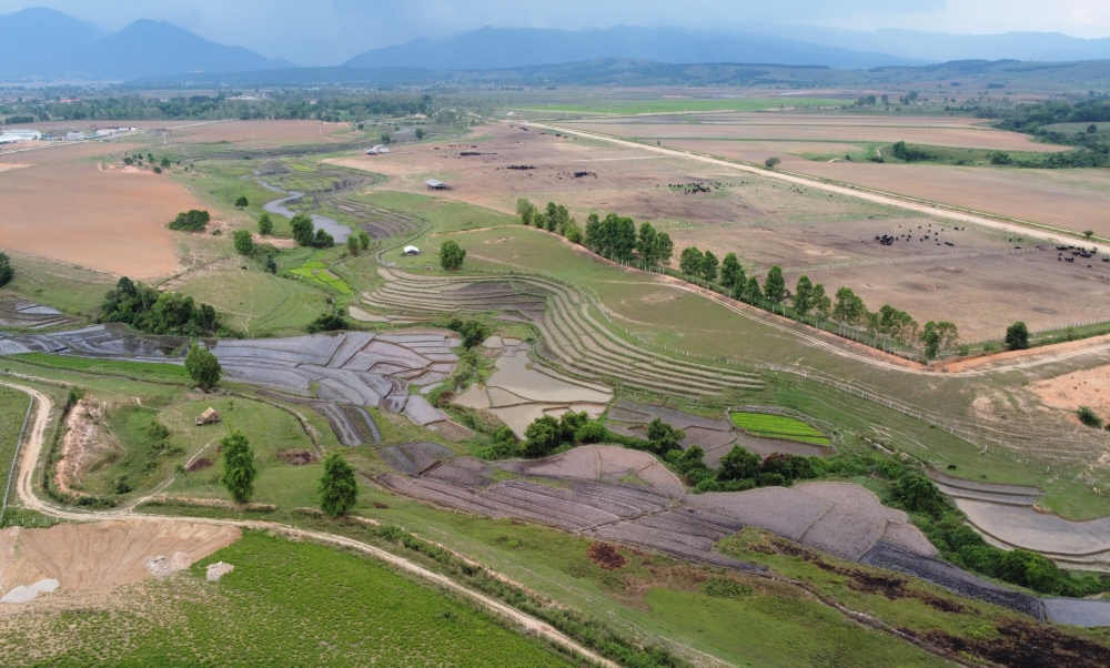 Tổ hợp trang trại tại Lào của Vinamilk đẩy nhanh tiến độ hoàn thành giai đoạn 1 Tổ hợp trang trại tại Lào của Vinamilk đẩy nhanh tiến độ hoàn thành giai đoạn 1