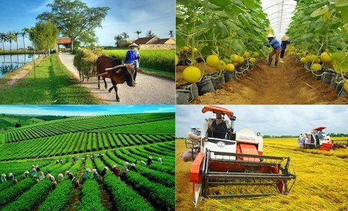 Tổng kết 20 năm thực hiện Nghị quyết số 13-NQ/TW đổi mới, phát triển kinh tế tập thể Tổng kết 20 năm thực hiện Nghị quyết số 13-NQ/TW đổi mới, phát triển kinh tế tập thể